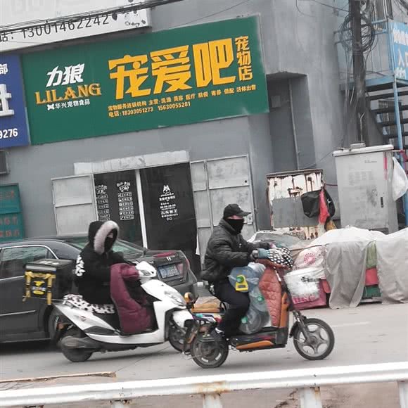 力狼宠爱吧宠物店(市区店):邯郸市峰峰矿区峰峰矿区中心城区附近