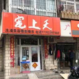 宠上天宠物用品店:天津城区红桥区