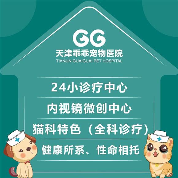 乖乖宠物医院·24小时·急重症诊疗中心·猫科特色(东丽分院):天津城区东丽区