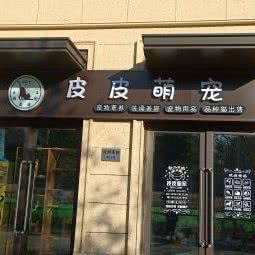 皮皮萌宠:天津城区东丽区