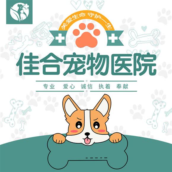 佳合宠物医院(永旺店):天津城区津南区