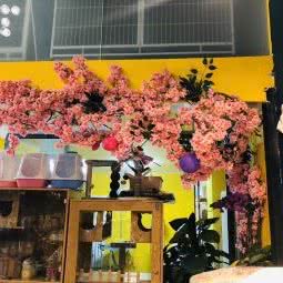 派多格宠物(北辰店):天津城区北辰区