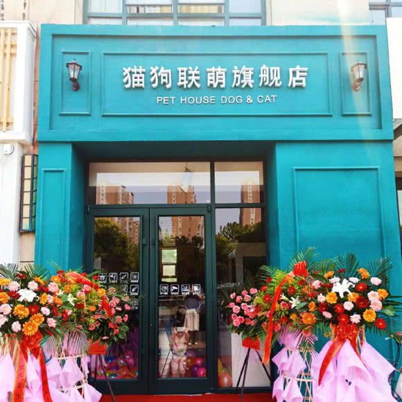 猫狗联萌旗舰店:邢台市襄都区天一城附近