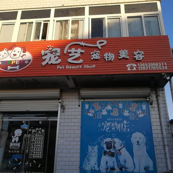 宠艺宠物美容:天津城区武清区
