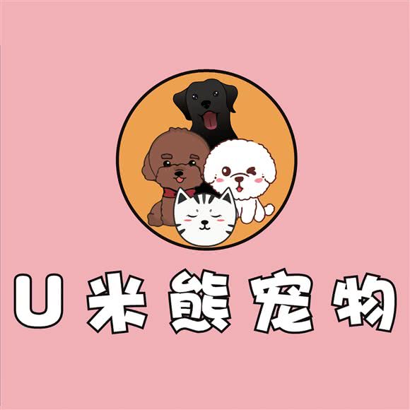 S米熊宠物:天津城区滨海新区