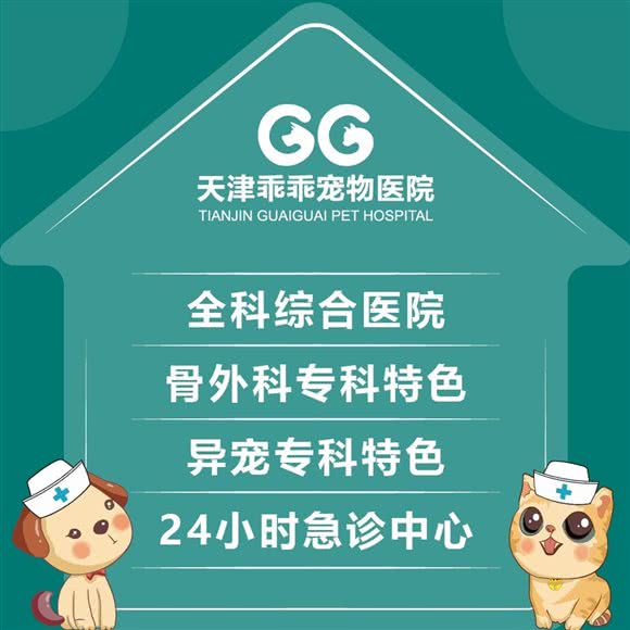 乖乖宠物医院 24小时(生态城分院):天津城区滨海新区