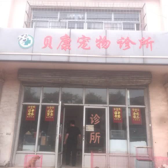 贝康宠物诊所:天津城区静海区
