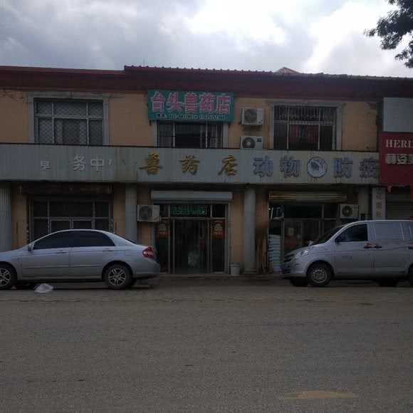 台头镇兽医站:天津城区静海区