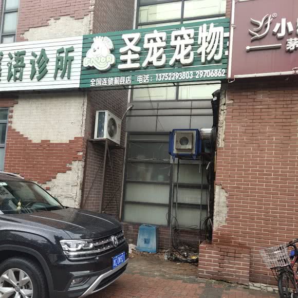 圣宠宠物店(天津蓟县青山溪语店):天津城区蓟州区