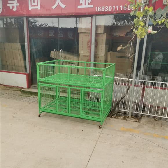 寻回犬业:石家庄市长安区