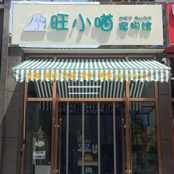 旺小喵宠物馆:石家庄市桥西区