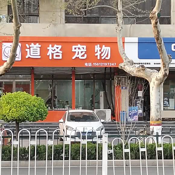 道格宠物:石家庄市藁城区