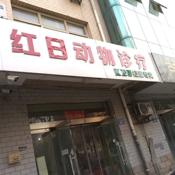 红日哺乳动物诊疗:邢台市襄都区开元南路附近