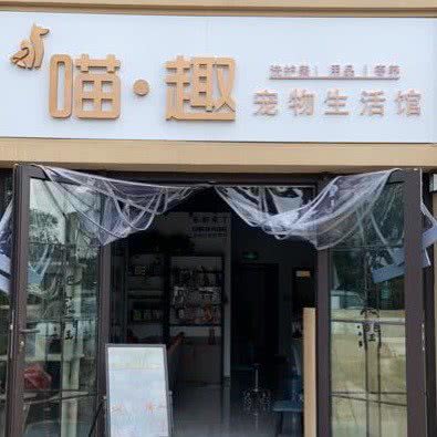 喵趣宠物生活馆:石家庄市鹿泉区