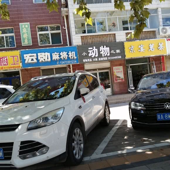 小动物之家:石家庄市鹿泉区