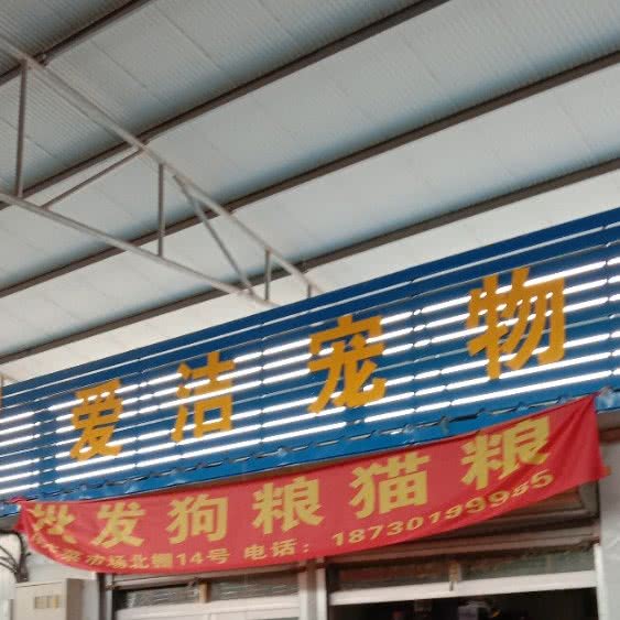 爱洁宠物狗:石家庄市鹿泉区