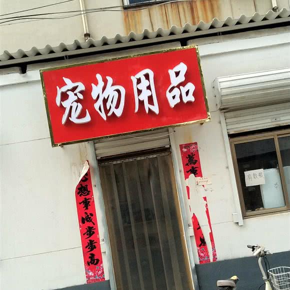 宠物用品:邢台市襄都区襄都北路附近