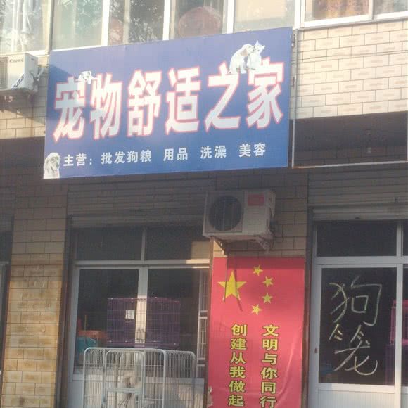 宠物舒适之家:石家庄市栾城区