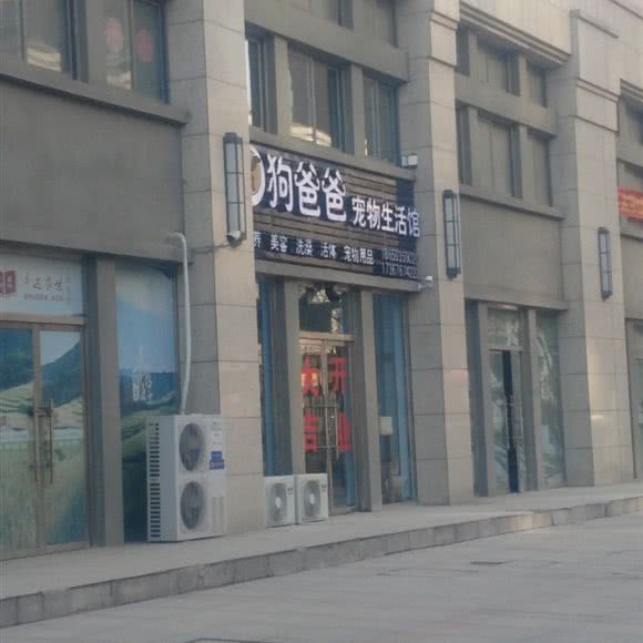 狗爸爸宠物生活馆:石家庄市栾城区