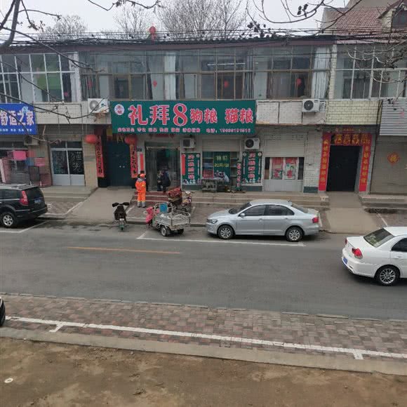 主日8狗粮猫粮:石家庄市栾城区