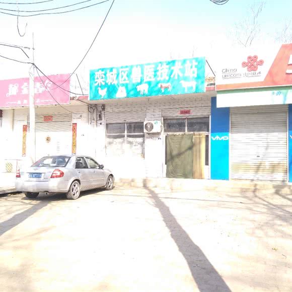栾城区兽医技术站:石家庄市栾城区