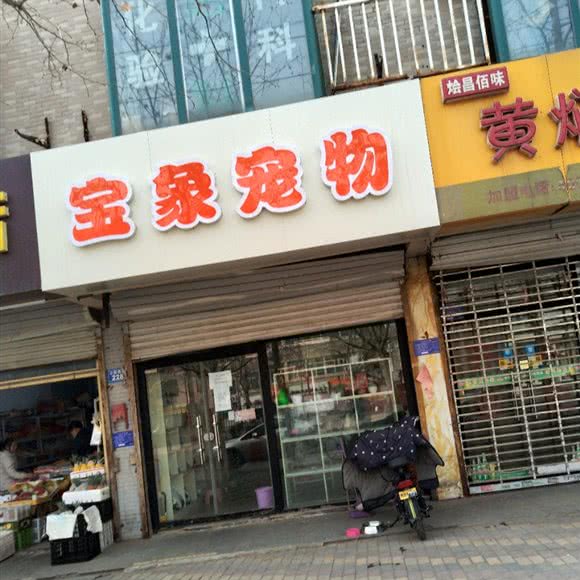宝象宠物:邢台市信都区万城新天地附近