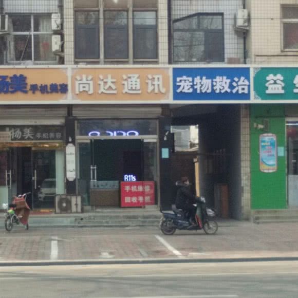 宠物救治:石家庄市正定县
