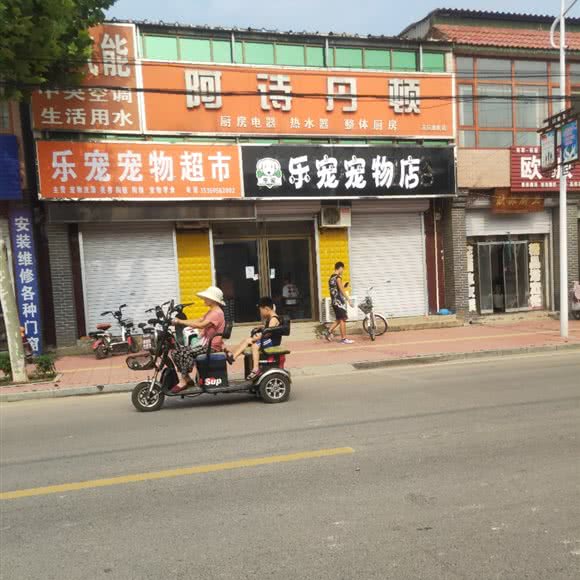 乐宠宠物店:石家庄市高邑县