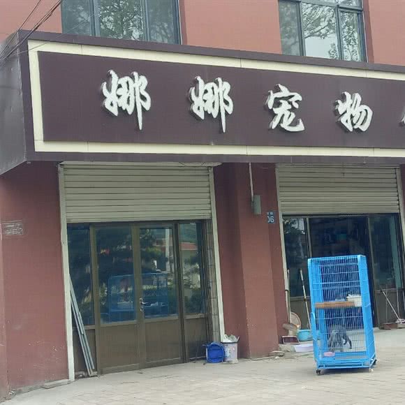 娜娜宠物馆:石家庄市高邑县