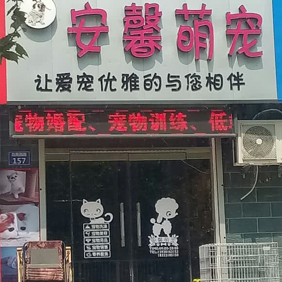 安馨萌宠:石家庄市深泽县