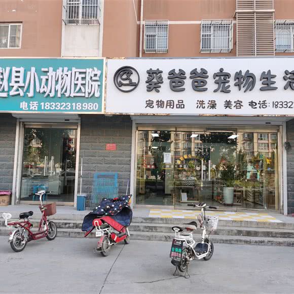 葵爸爸宠物生活馆:石家庄市赵县