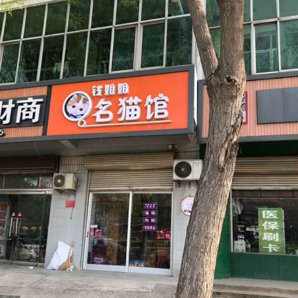 钱姐姐名猫馆:石家庄市赵县