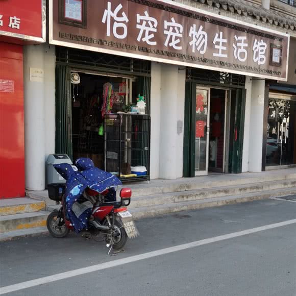 怡宠宠物生活馆:石家庄市赵县