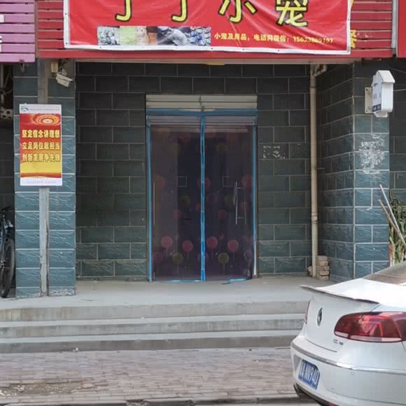 丁丁小宠:石家庄市赵县