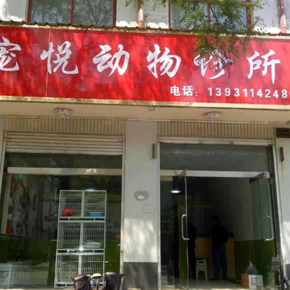 宠悦动物诊所:石家庄市赵县