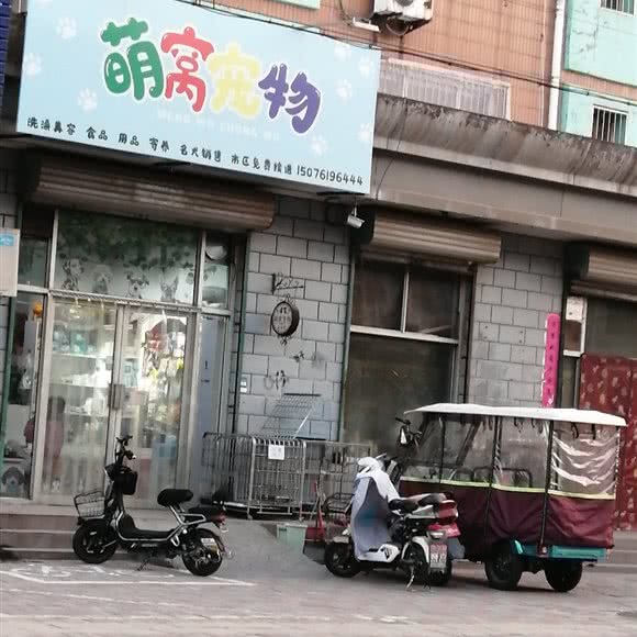 萌窝宠物:石家庄市辛集市