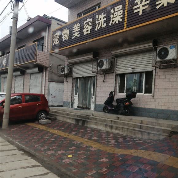 宠物美容洗澡:石家庄市辛集市