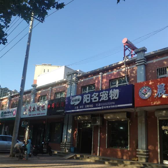 宠维滋阳名宠物:石家庄市辛集市