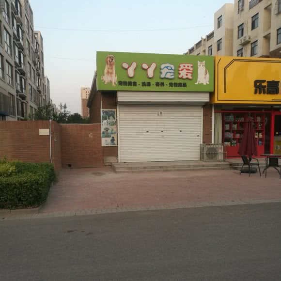 丫丫宠爱:石家庄市辛集市