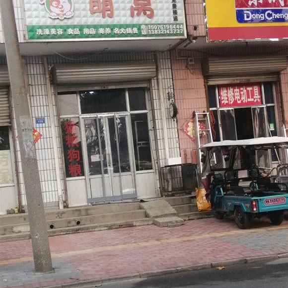 萌窝:石家庄市辛集市