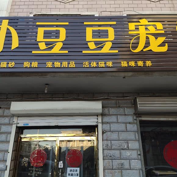 小豆豆宠物馆:石家庄市辛集市