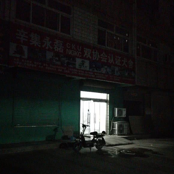 辛集永磊双协会认证犬舍:石家庄市辛集市