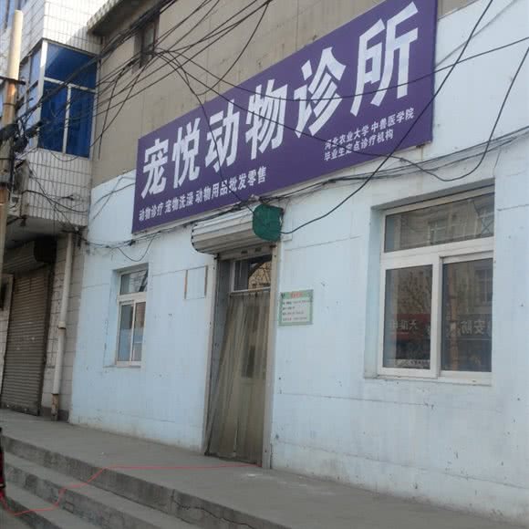 宠悦动物诊所:石家庄市辛集市
