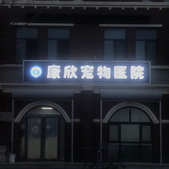 康欣宠物诊所:石家庄市辛集市