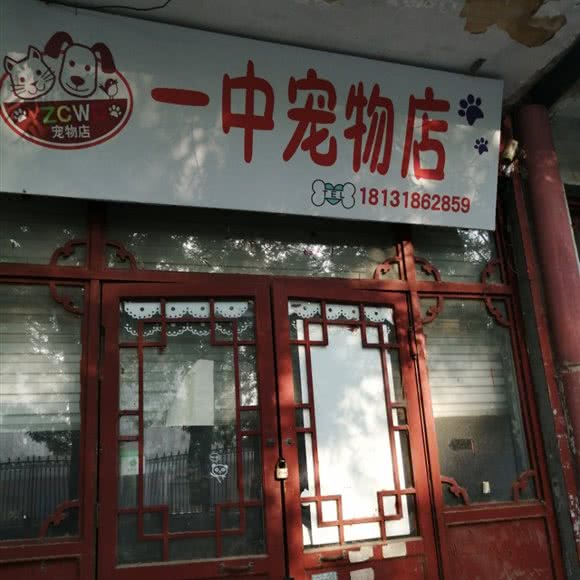 一中宠物店:邢台市信都区冶金北路附近