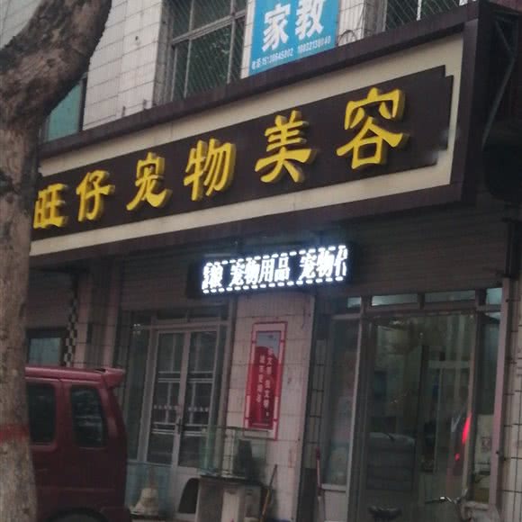 旺仔宠物美容:石家庄市晋州市
