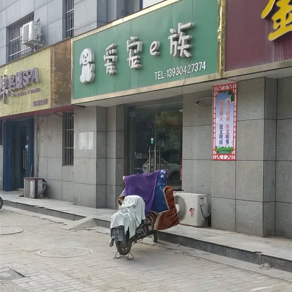爱宠e族:石家庄市晋州市