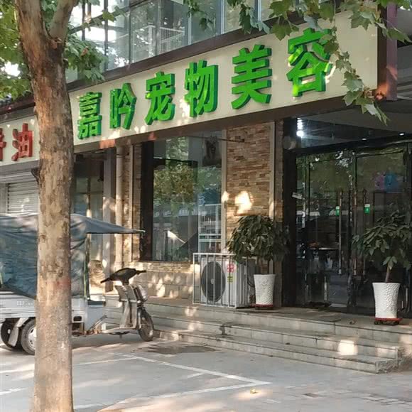 嘉吟宠物美体:石家庄市晋州市