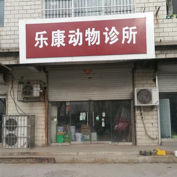 乐康动物诊所:石家庄市新乐市