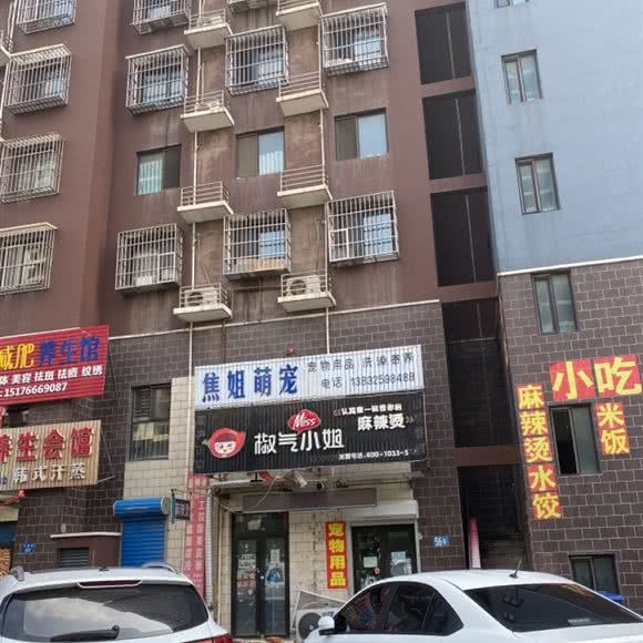 焦姐萌宠:唐山市路南区